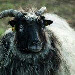 best-time-management-tips-for-better-mental-health-28