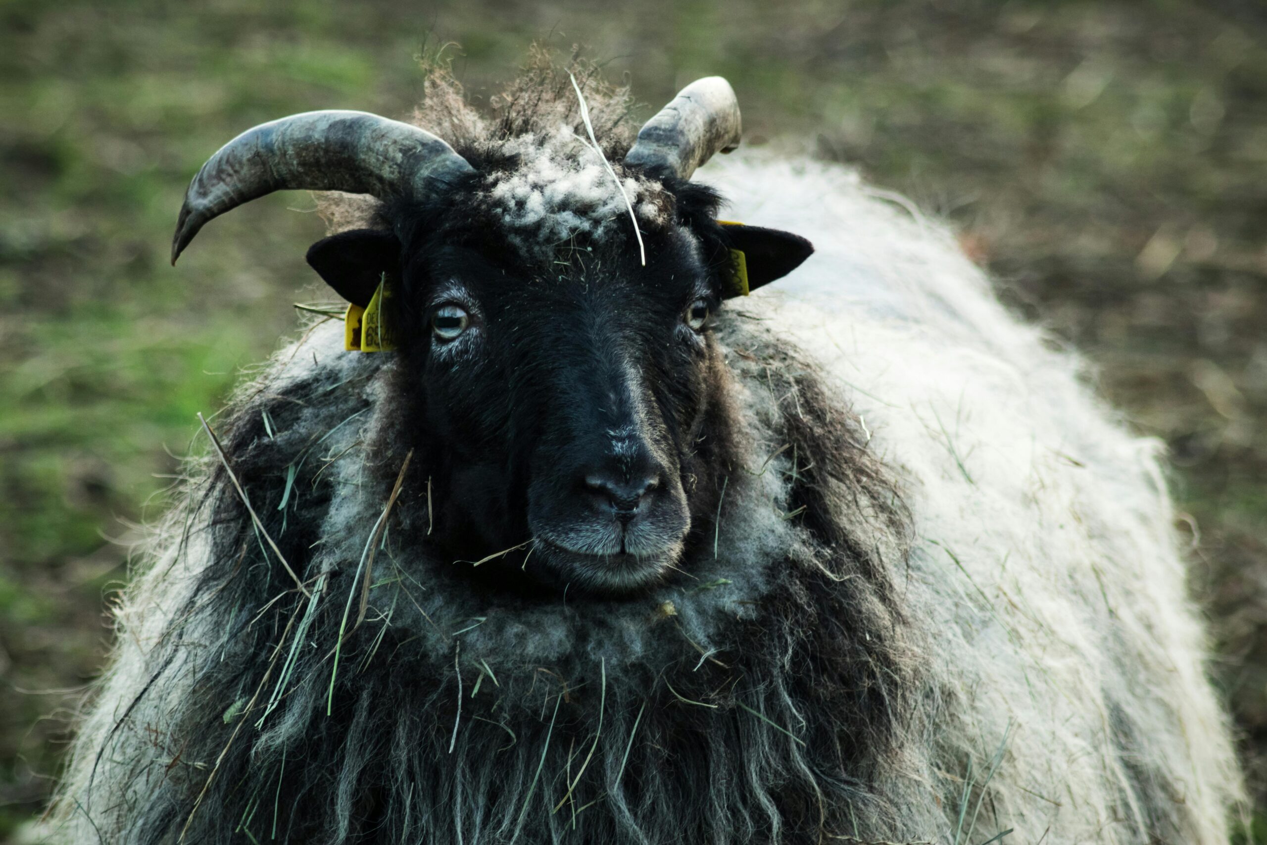 best-time-management-tips-for-better-mental-health-28